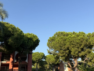 Главная фотография богатого любовника Марат