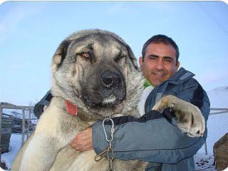 Главная фотография богатого любовника Алексей