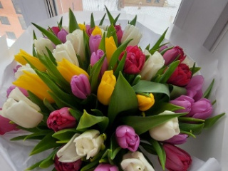 Главная фотография любовницы DI