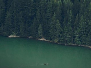 Главная фотография богатого любовника Эм