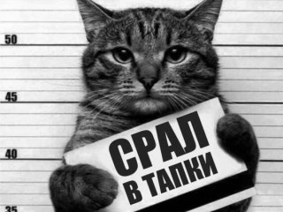 Главная фотография богатого любовника Семен