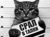 Спонсор Семен г. Москва