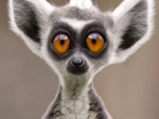 Главная фотография богатого любовника Олег