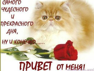 Главная фотография любовницы Ма