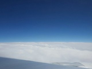 Главная фотография богатого любовника Кука