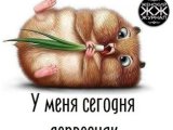 Спонсор Петр г. Саратов