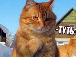 Главная фотография любовницы Илона