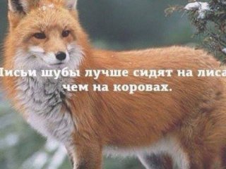Главная фотография богатого любовника Ал